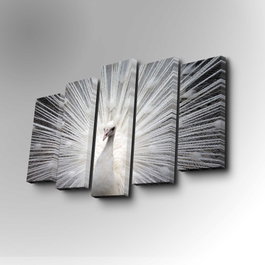 Wallity Cuadro Decorativo en Lienzo de 5 Piezas 5PUC-003